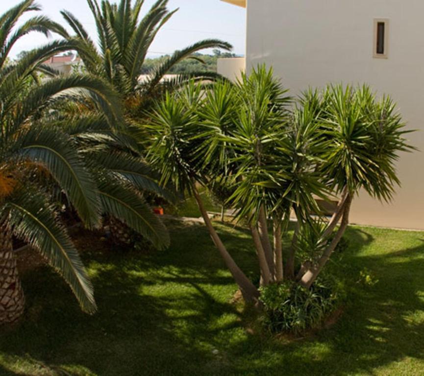Olga Suites Maleme Exterior foto